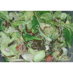 Salade NutriMax