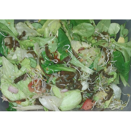Salade NutriMax