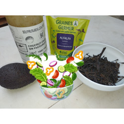 Salade NutriMax
